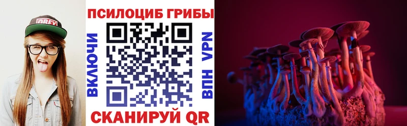 Галлюциногенные грибы Magic Shrooms Игра